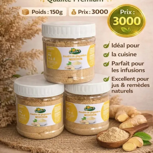Poudre de Gingembre, 150 g, Inova Cook