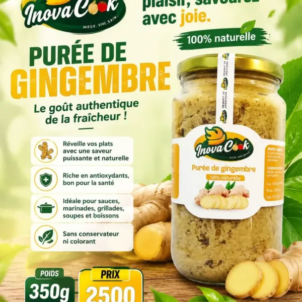 Purée de Gingembre, 350 g, Inova Cook